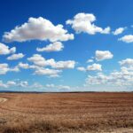 brown field and blue sky
